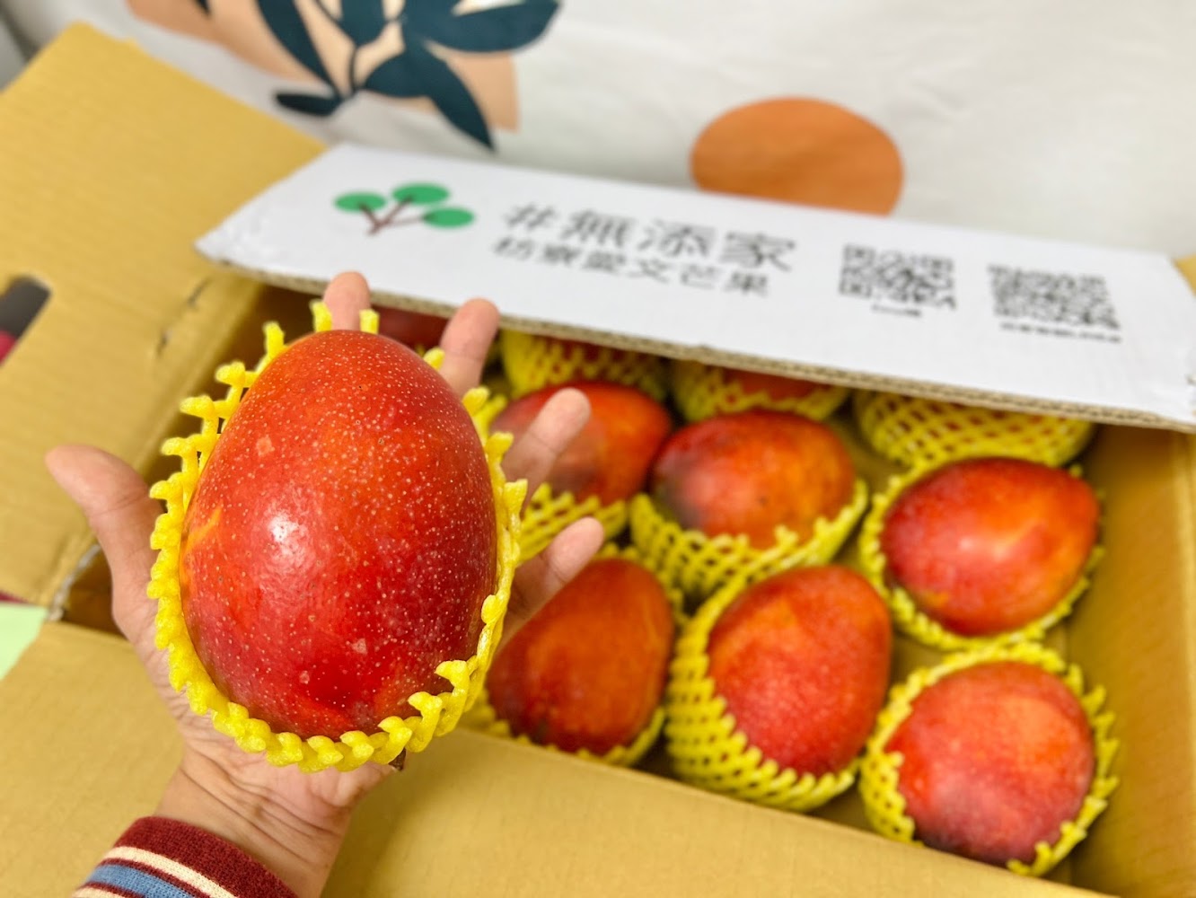 盒裝包有黃色防護網的愛文芒果
