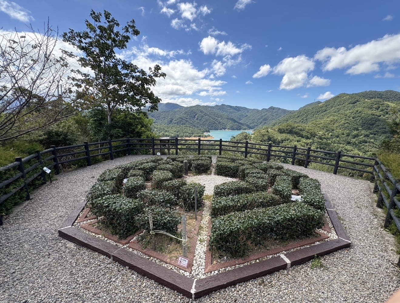 八卦茶園景觀台附近幾何綠色灌木區與湖景
