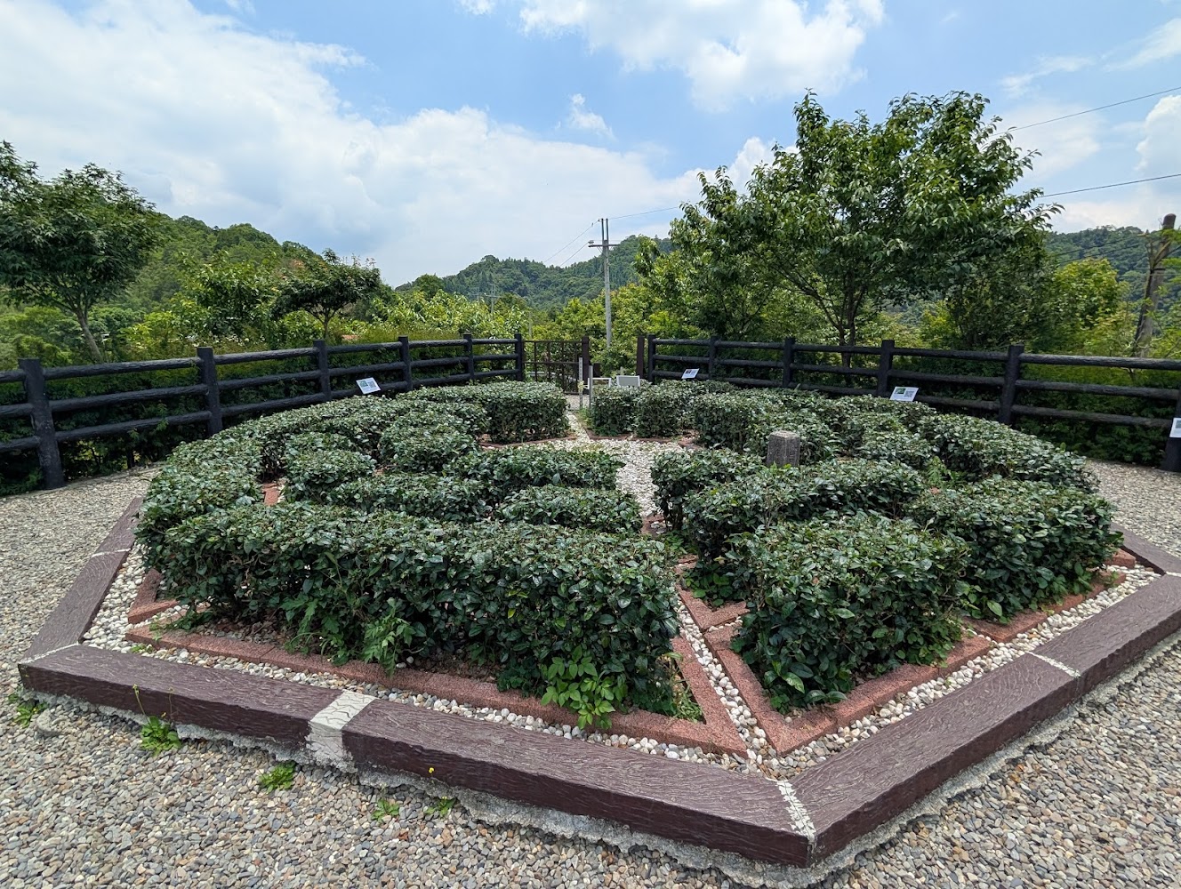 八卦茶園景觀台幾何茶樹花園造景