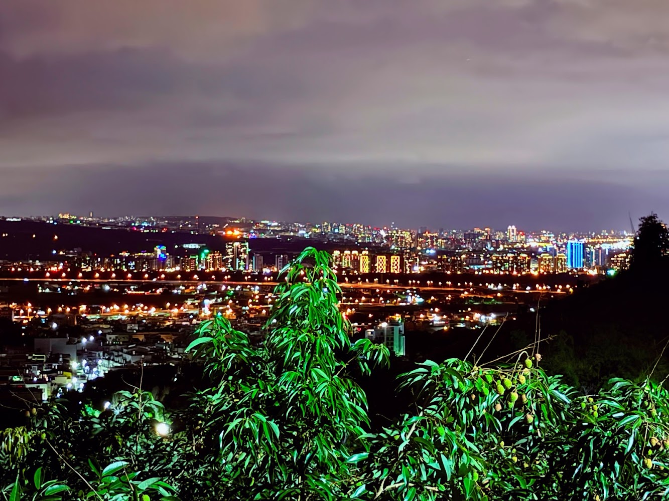 四號橋夜景城市燈火與樹景前景