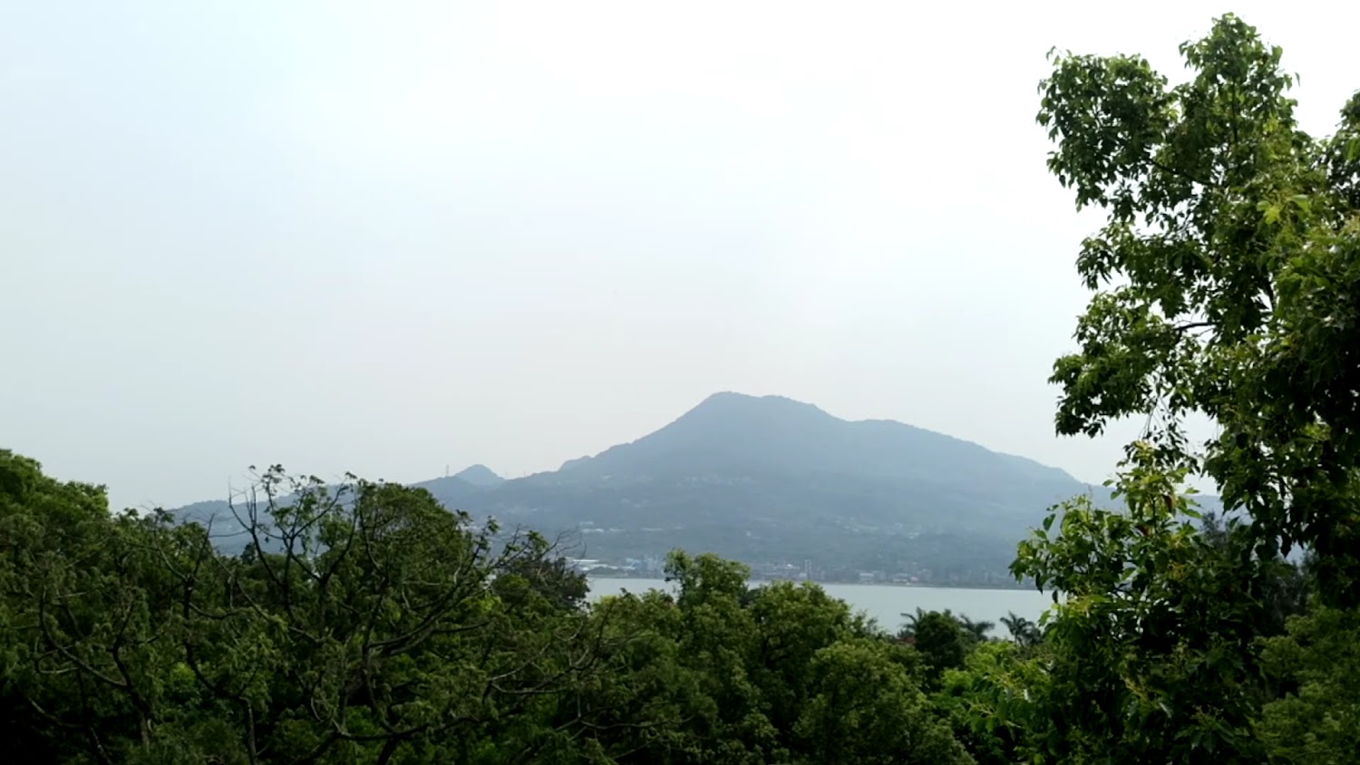 青翠樹林與湖泊遠山景色，呈現自然寧靜氛圍