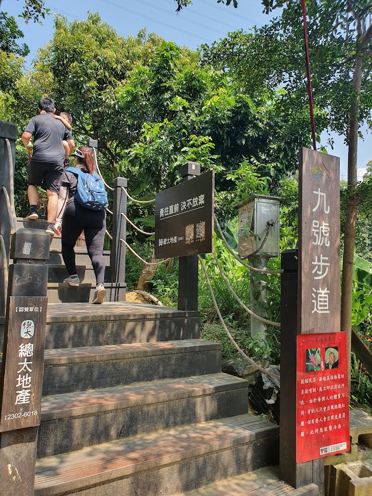 大坑九號登山步道階梯入口景象