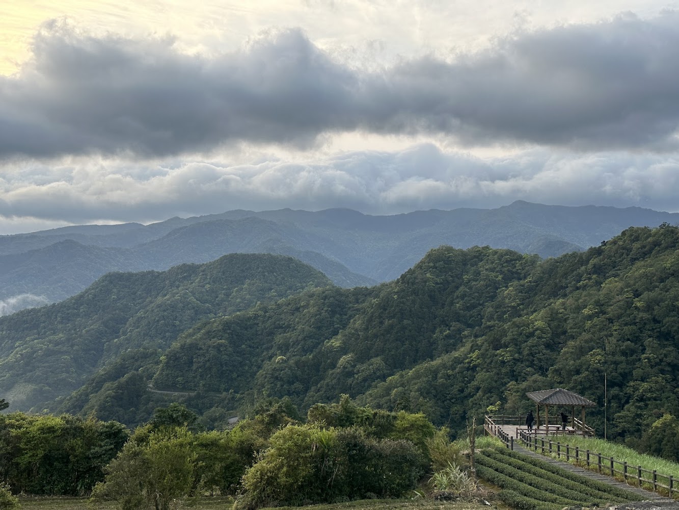 南山寺周邊山巒茶園與涼亭景色