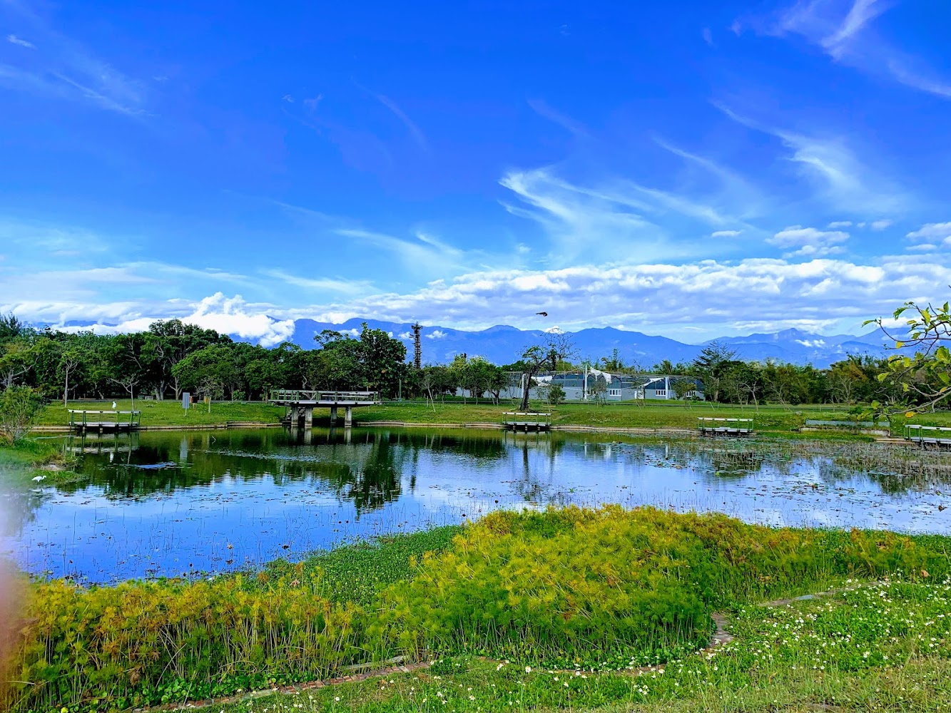 池塘木橋小涼亭與山景