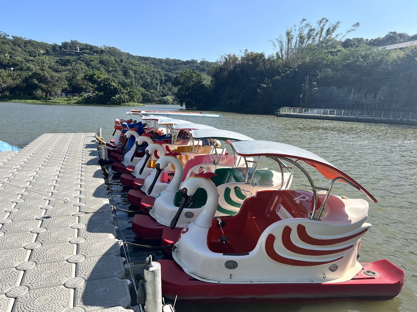 青草湖碼頭停靠多艘天鵝船