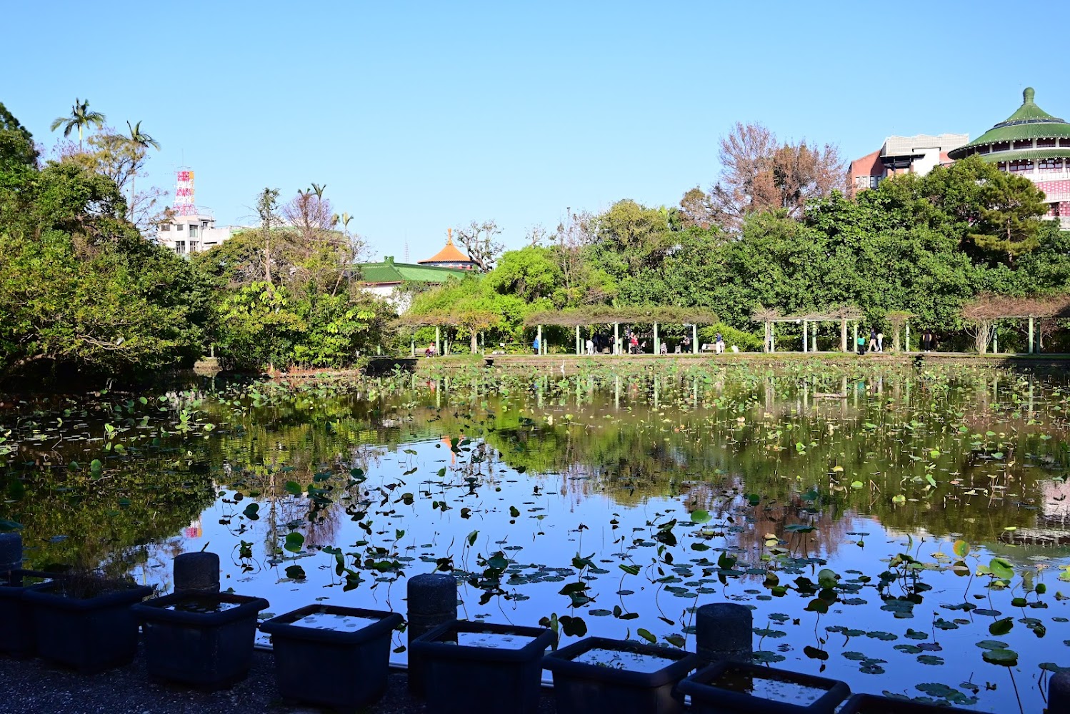 荷花池池面平靜，倒映藍天與綠樹，周圍有涼亭與樹林