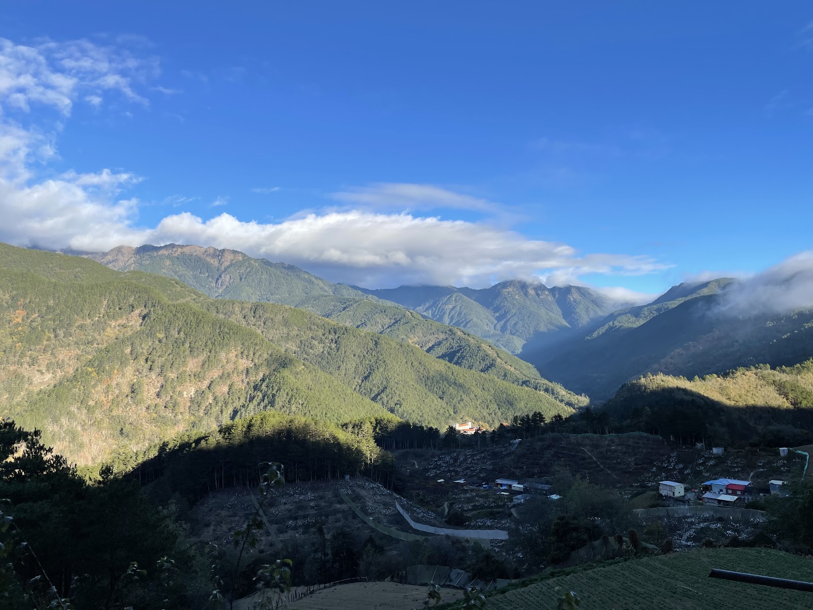 從高山俯瞰武陵農場全景，農舍茶田溪流盡收眼底