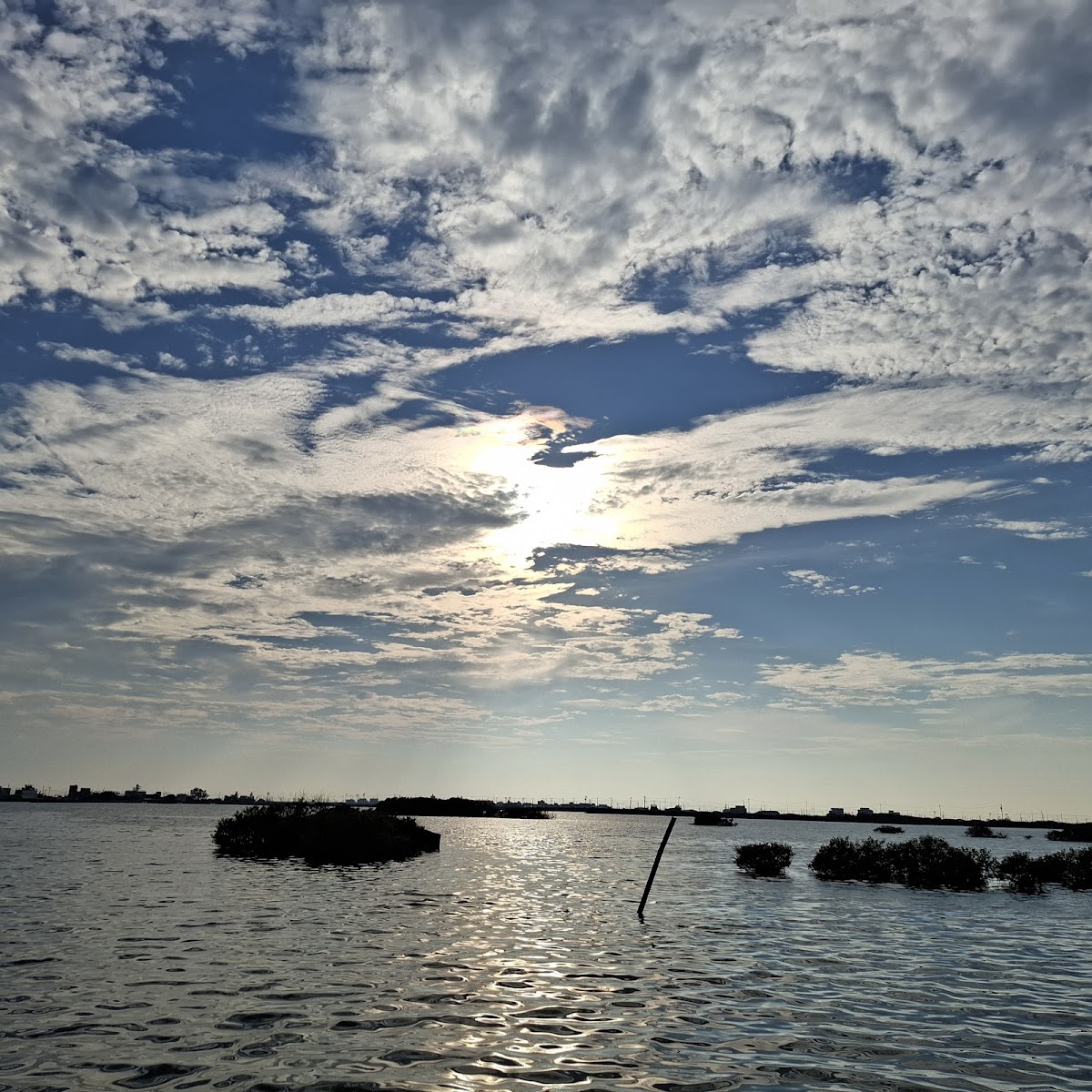 成龍濕地夕陽落日，水面反光，水鳥剪影逆光飛翔，藍天白雲