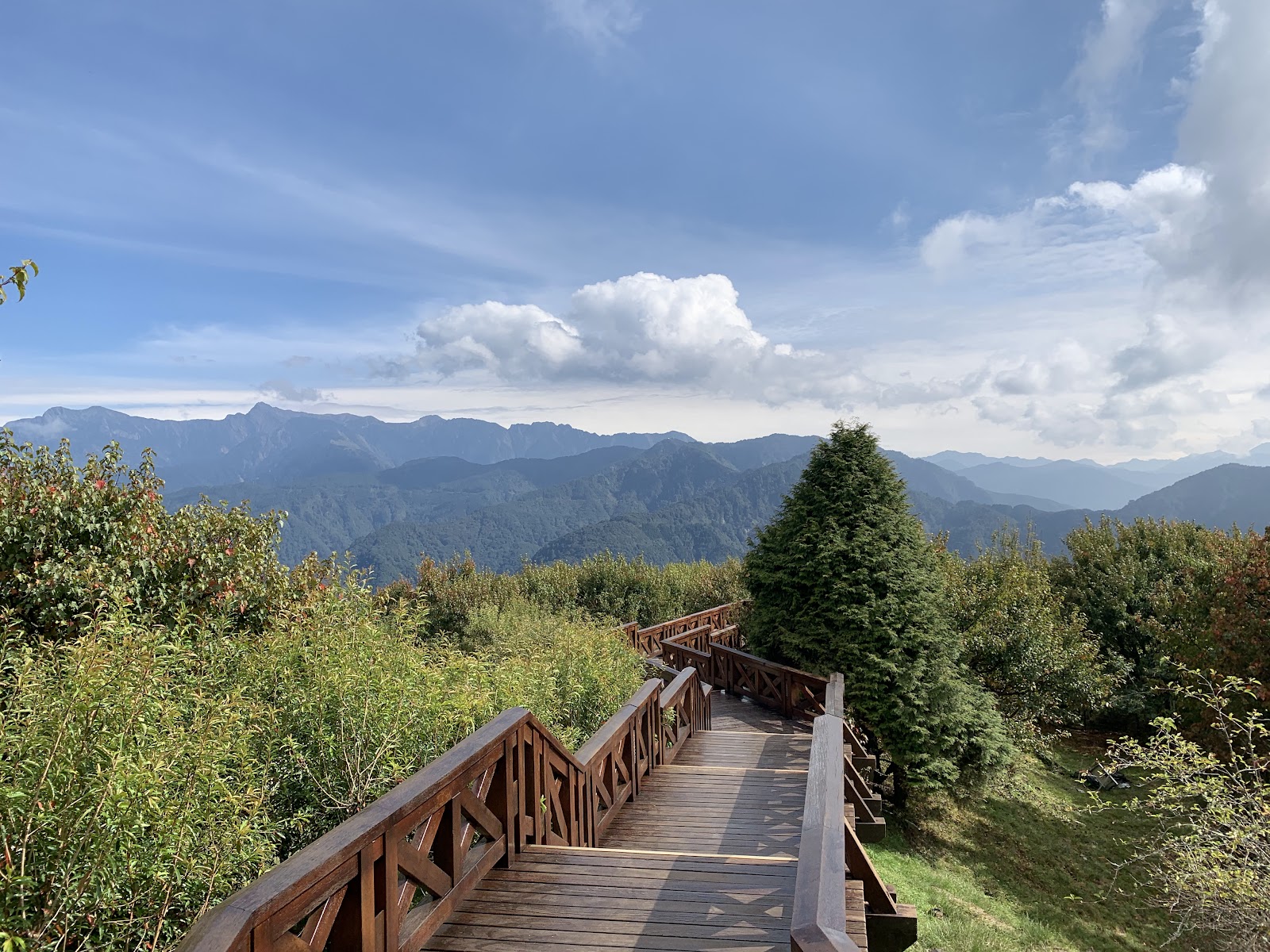 阿里山小笠原山觀景台木棧道延伸遠眺連綿山脈