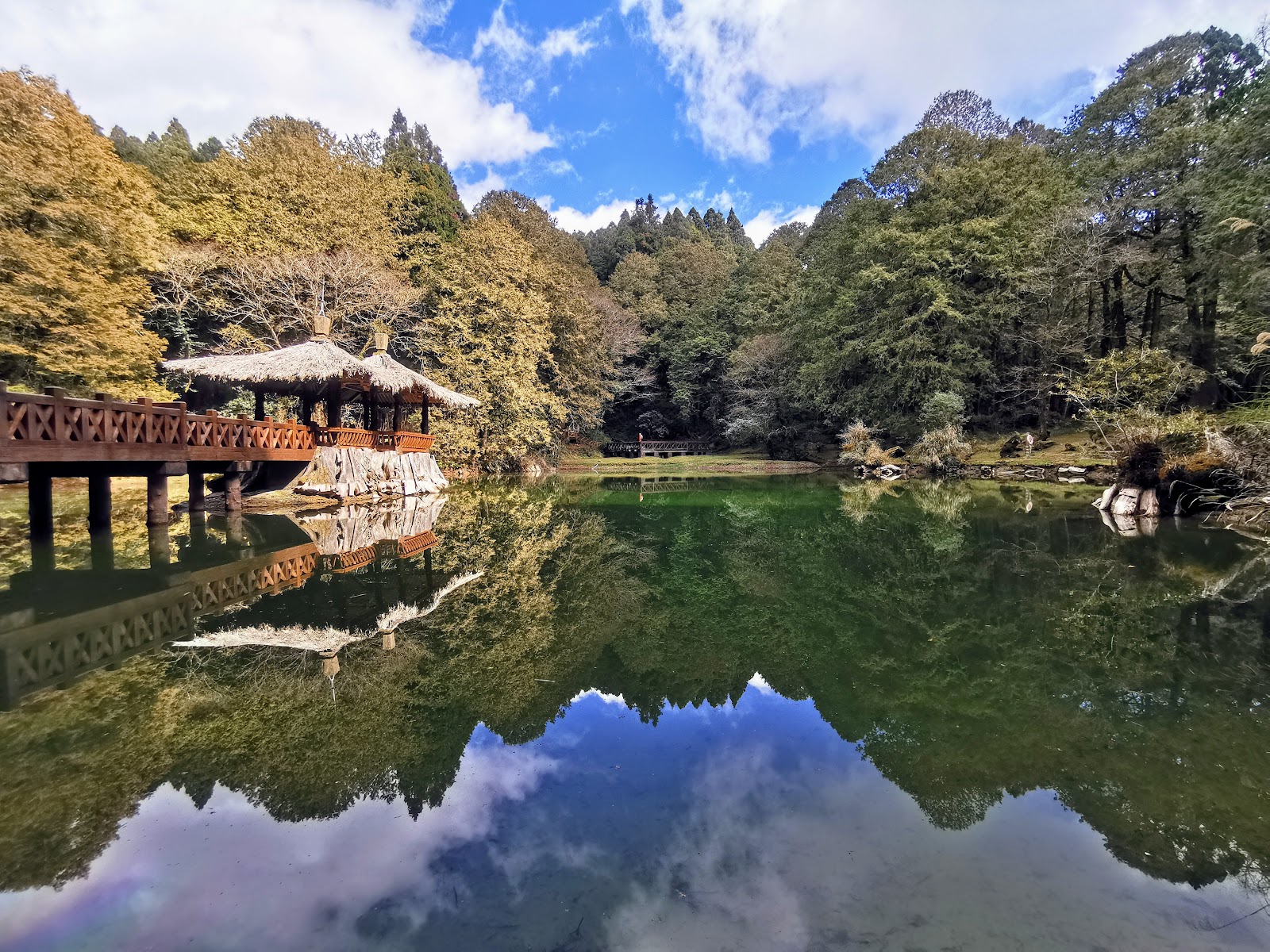 阿里山姊妹潭秋日湖面倒影楓葉金黃