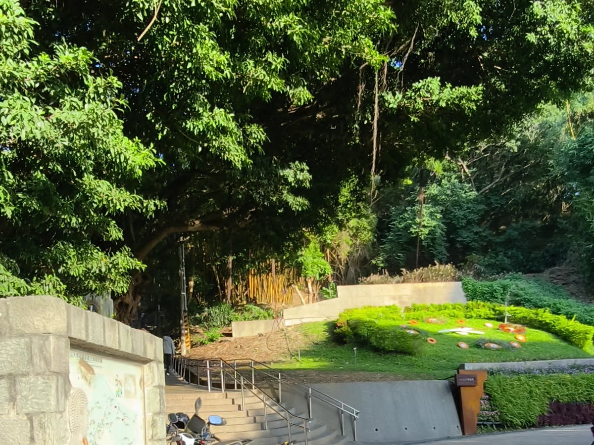 八卦山景區石板階梯步道蜿蜒,綠樹環繞