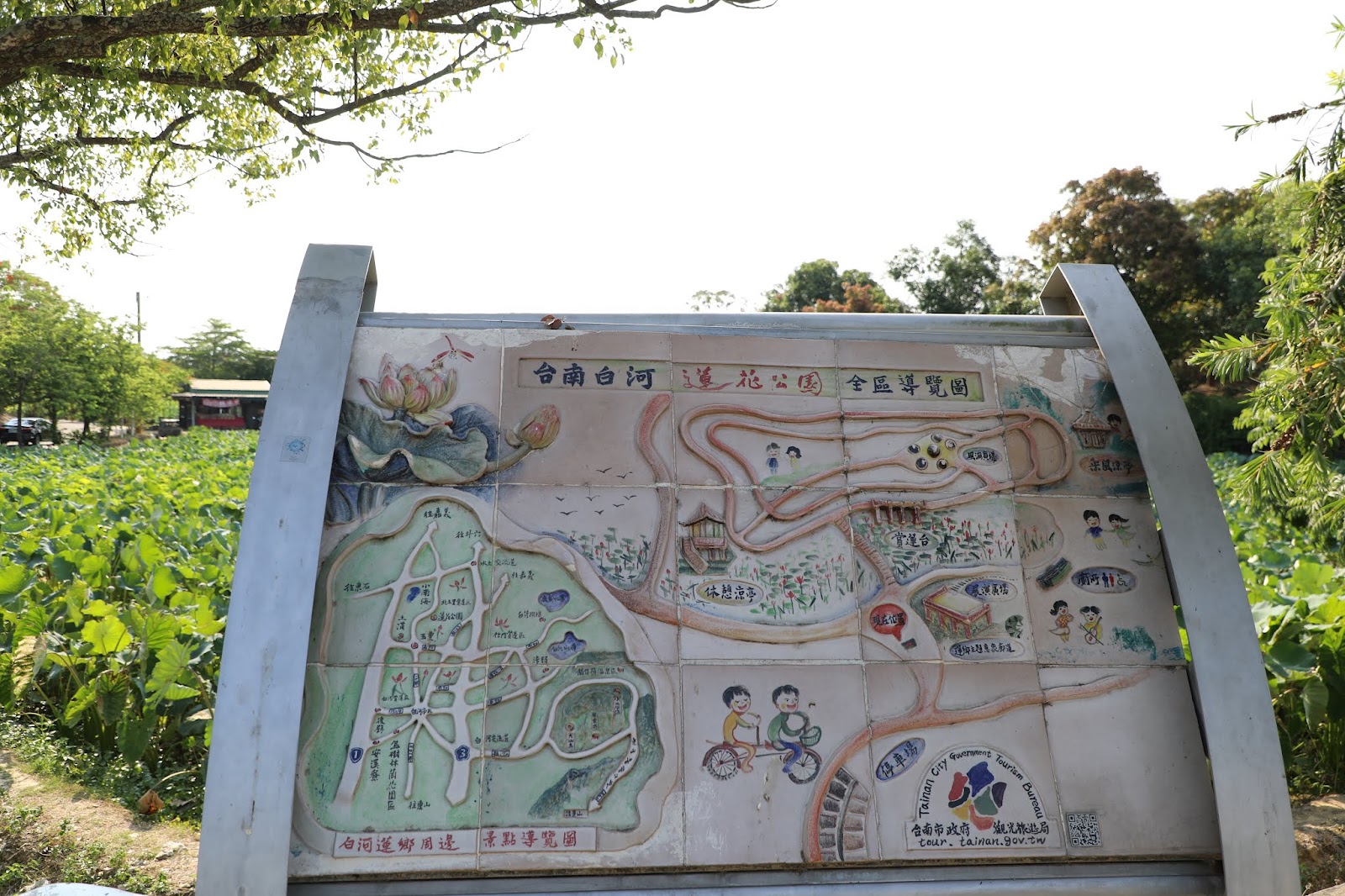 台南白河蓮花公園全區導覽圖立牌，背景是大片荷葉田