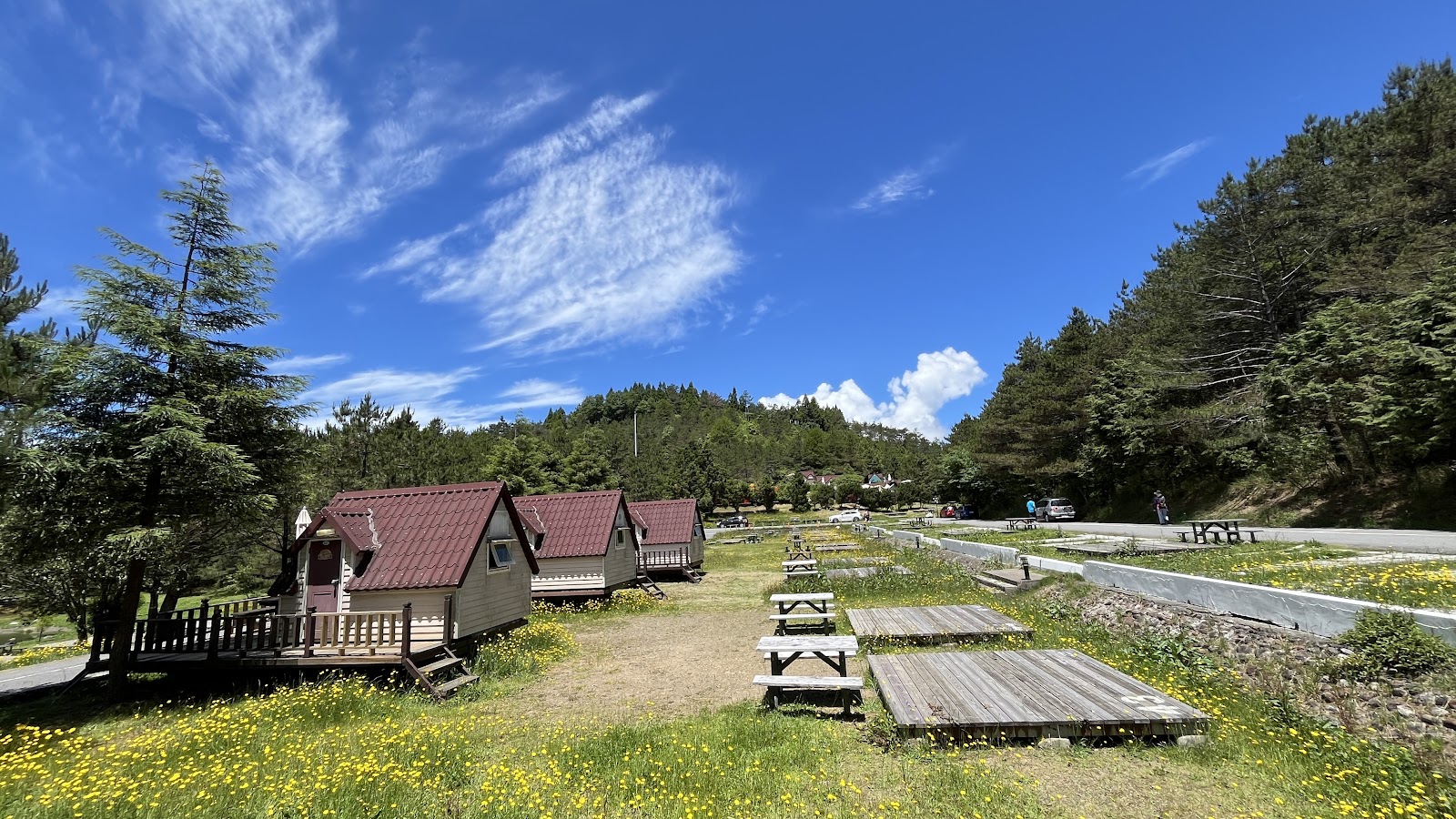 福壽山農場露營區A型木屋與夏天野花盛景 台中梨山高海拔露營