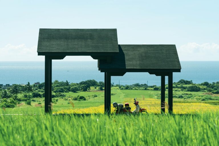 台東長光梯田觀景台，海岸梯田與太平洋視野，長濱一日遊必訪景點