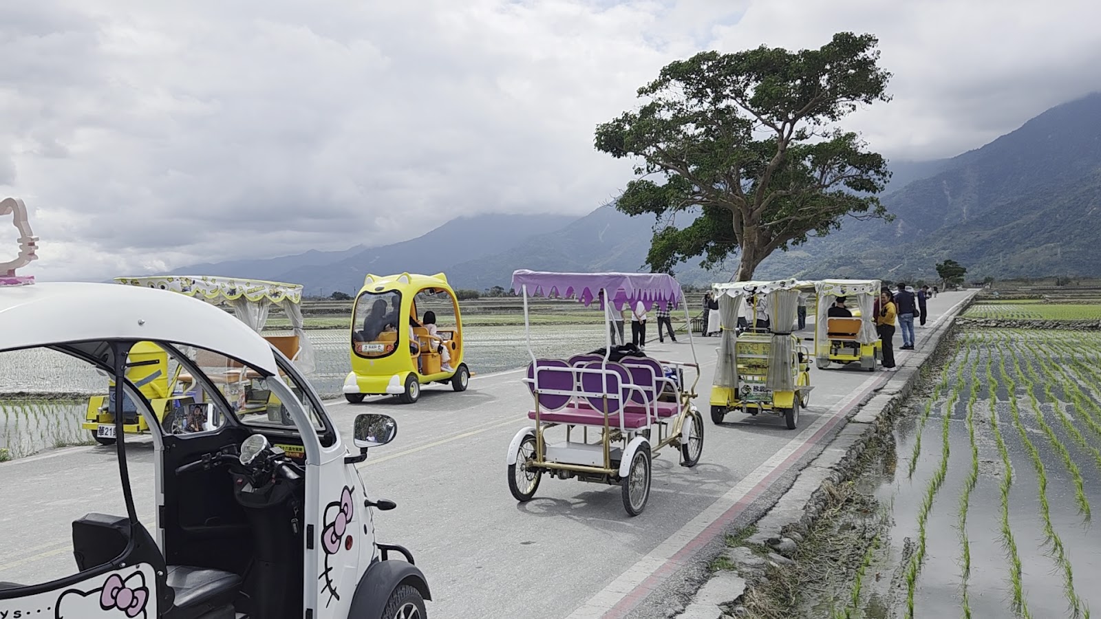 伯朗大道上五顏六色的電動觀光車，背景是大樹與稻田