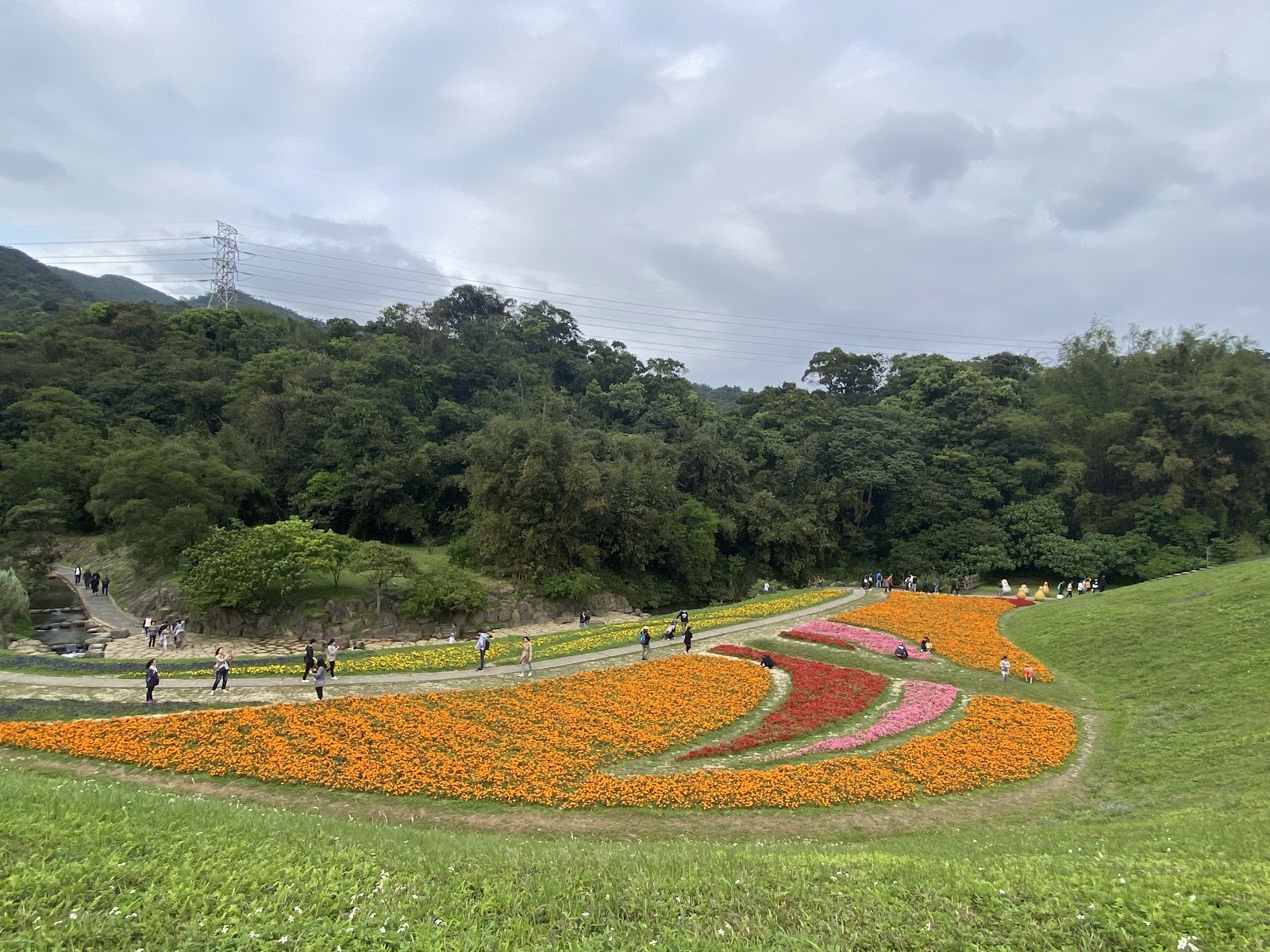大湖酒莊花圃 橙色紅色粉色花朵成排種植 遊客漫步其中