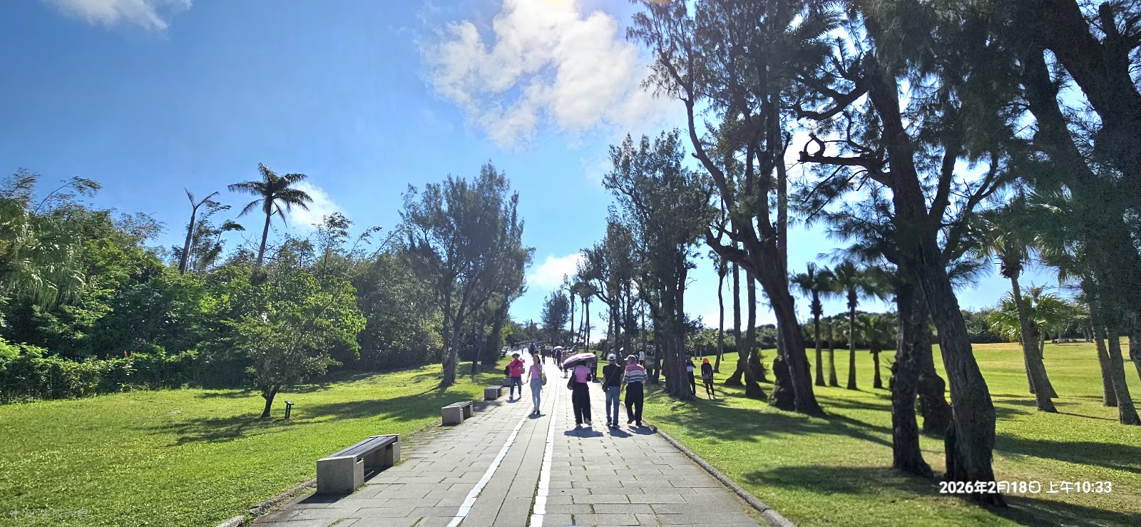 鵝鑾鼻公園寬闊步道,兩旁椰子樹與熱帶植物,遊客漫步其中