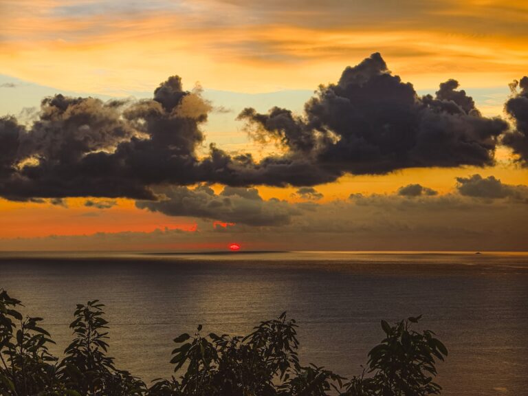 關山夕照觀景園區夕陽沉入台灣海峽海平線，橙金天色壯麗，前景熱帶植物剪影