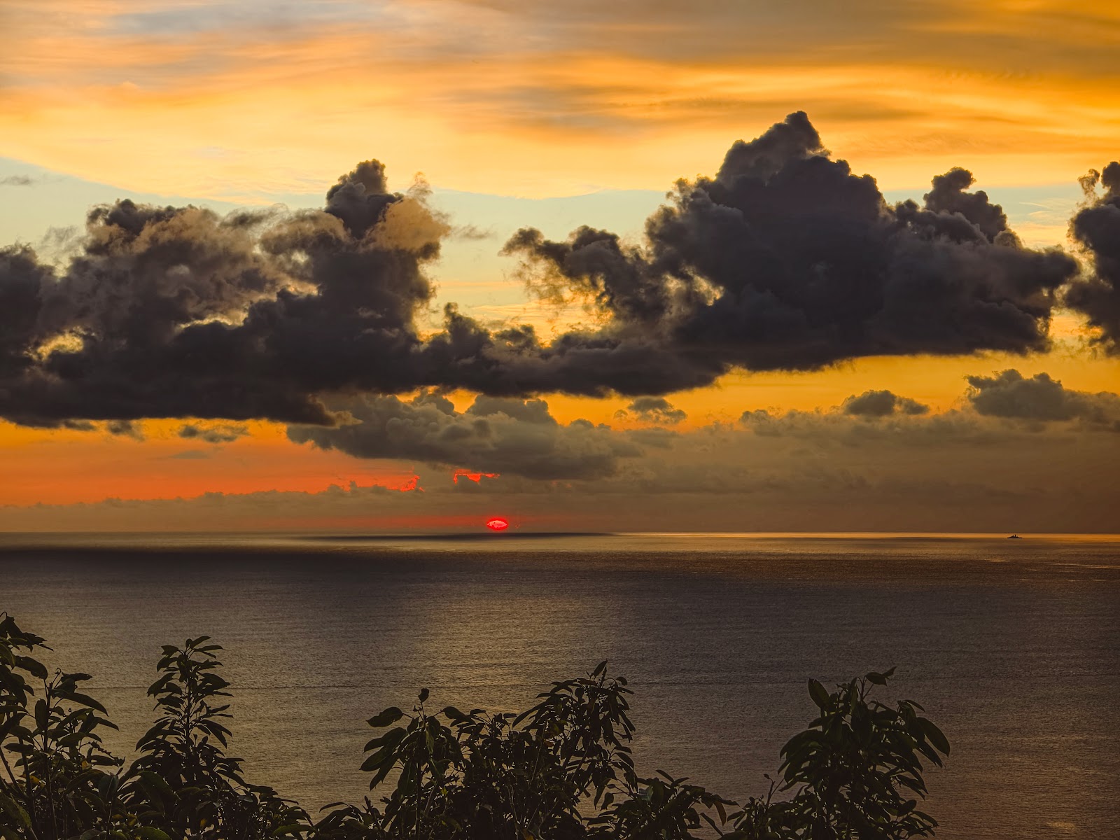 關山夕照觀景園區夕陽沉入台灣海峽海平線，橙金天色壯麗，前景熱帶植物剪影