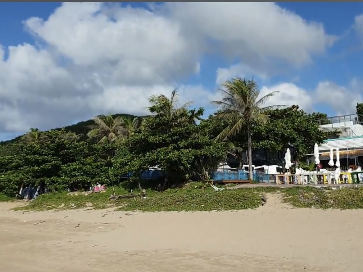 南灣遊憩區沙灘全景，椰樹成排與海灘小屋，碧藍海水延伸至天際