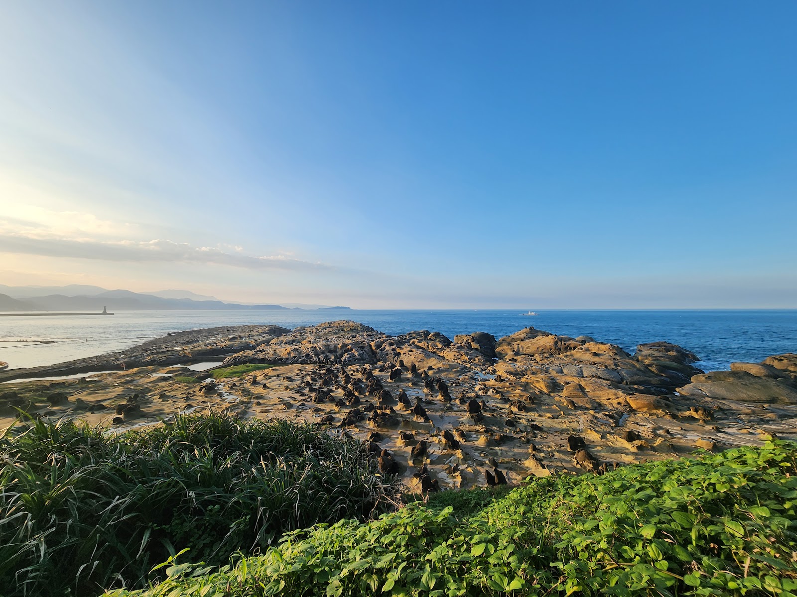 和平島地質公園日出暖光,前景翠綠草地,中景黃褐侵蝕岩層,遠景海洋與燈塔