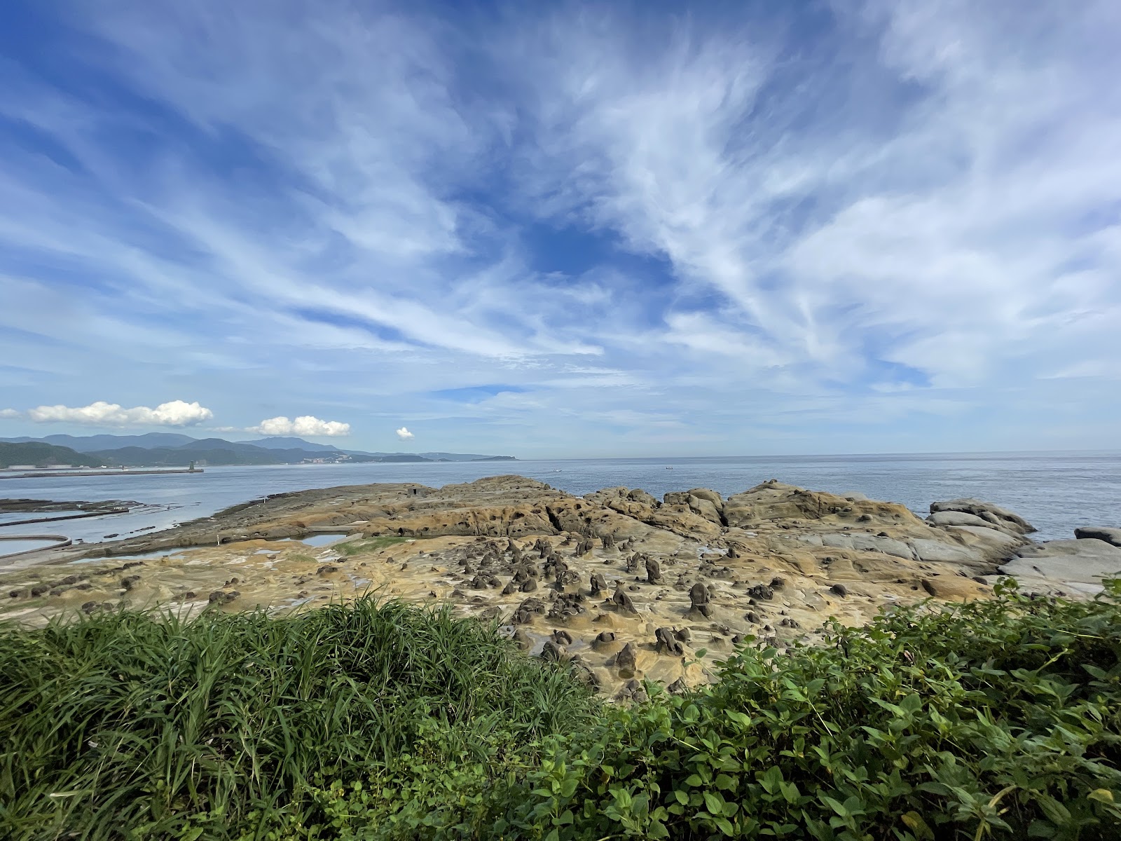 和平島千疊敷蕈狀岩地形,前景翠綠草地,背景基隆港海灣