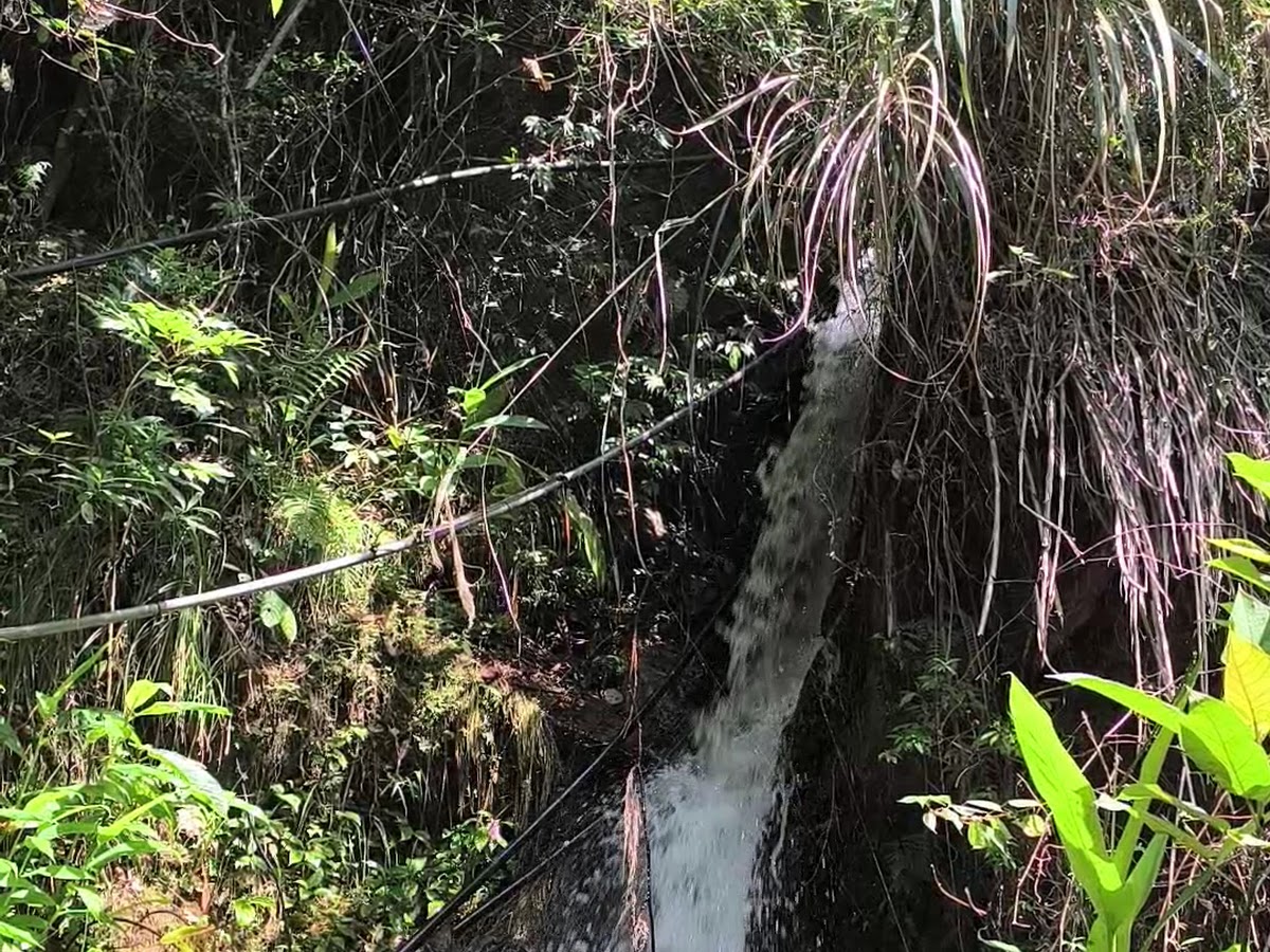 猴洞坑瀑布細長水流茂密山林礁溪秘境