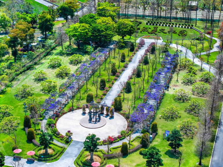 成美文化園值得去嗎，日式庭園、拍照亮點與彰化順遊一次整理