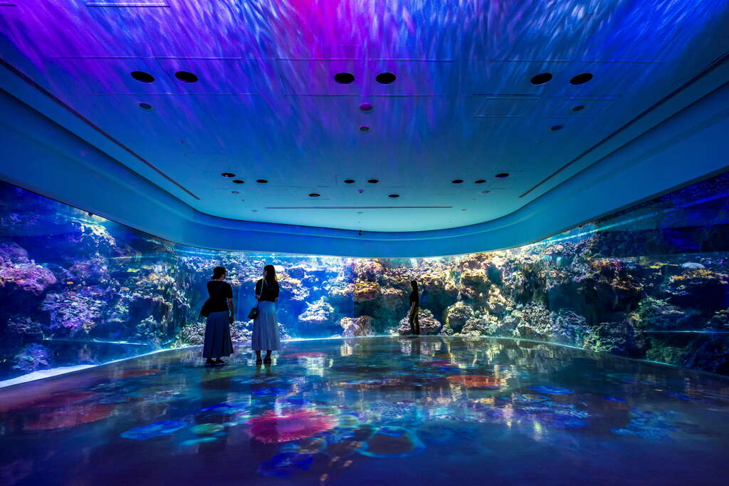 Xpark水族館為什麼很多人推薦？夢幻燈光、水母展區與療癒感一次看懂