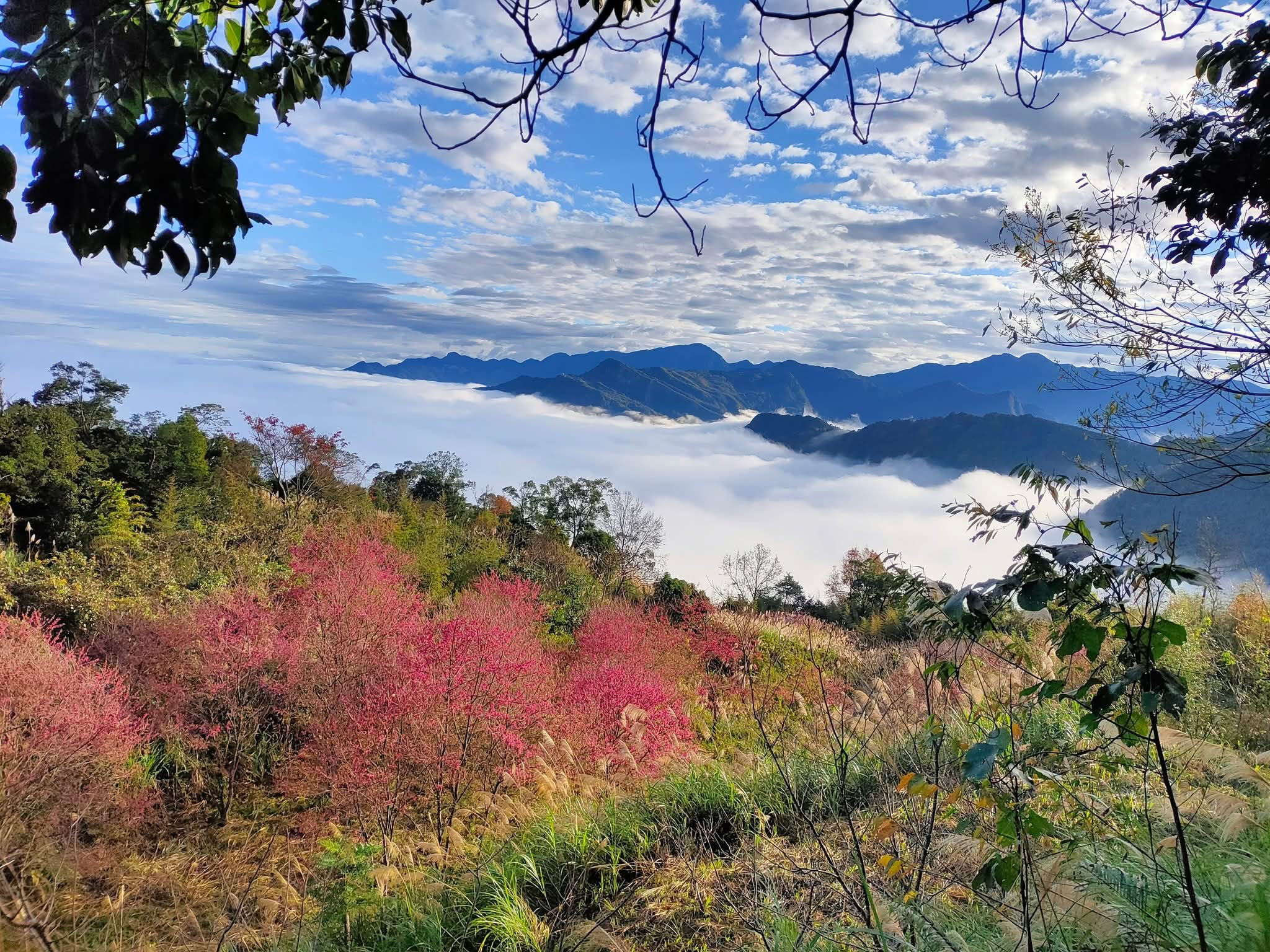 馬胎仙境露營區・兩天一夜含早餐平日每人 $840元 起|新竹山林包棟露營秘境