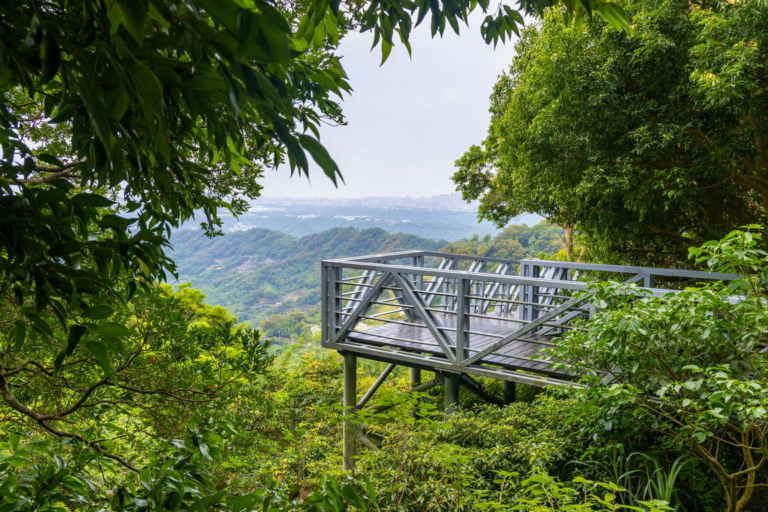 走在觀音山林梢步道，讓風景變得更輕更遠，也讓心有了暫時停泊的地方