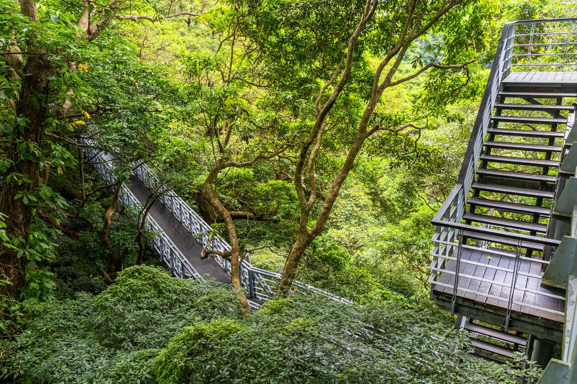 走在觀音山林梢步道,讓風景變得更輕更遠,也讓心有了暫時停泊的地方