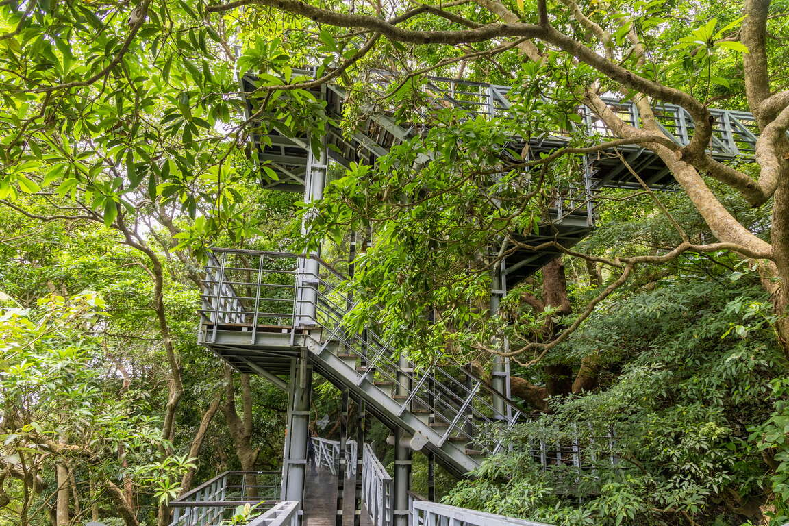 走在觀音山林梢步道,讓風景變得更輕更遠,也讓心有了暫時停泊的地方