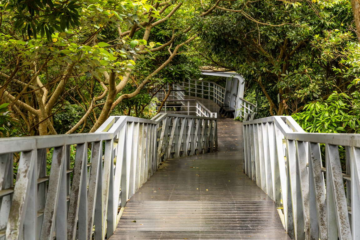 走在觀音山林梢步道,讓風景變得更輕更遠,也讓心有了暫時停泊的地方