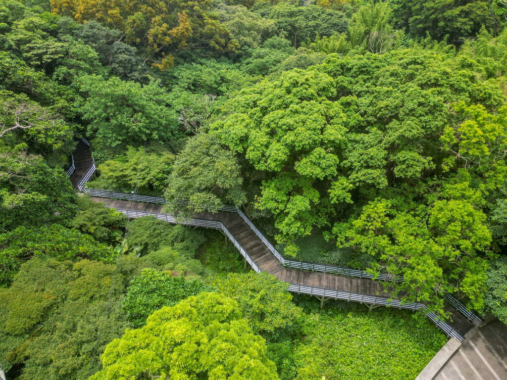 走在觀音山林梢步道,讓風景變得更輕更遠,也讓心有了暫時停泊的地方