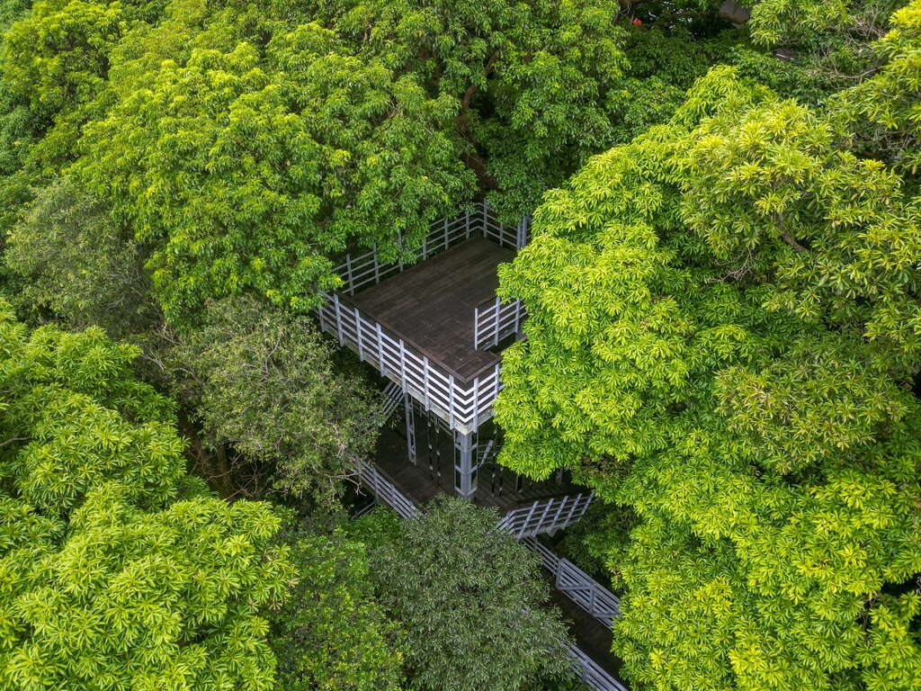 走在觀音山林梢步道,讓風景變得更輕更遠,也讓心有了暫時停泊的地方