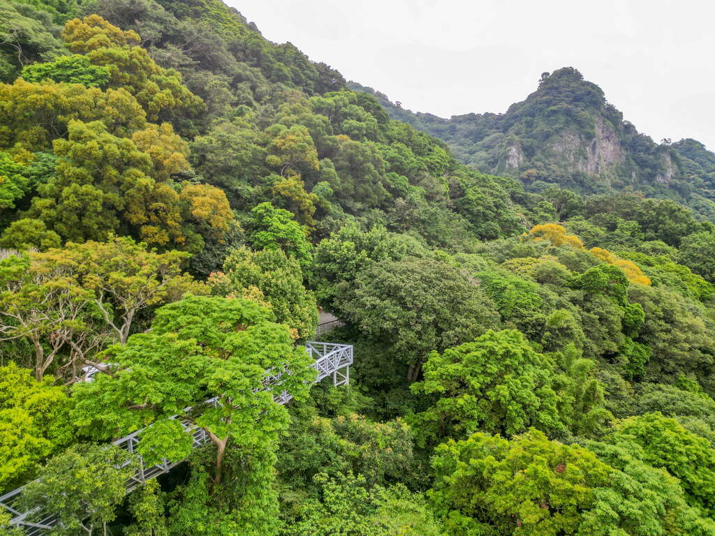 走在觀音山林梢步道,讓風景變得更輕更遠,也讓心有了暫時停泊的地方