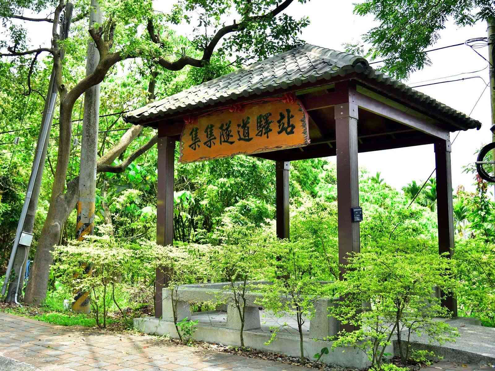 在集集綠色隧道的樹影與微風之間慢慢前行，讓陽光灑落也讓心安靜下來