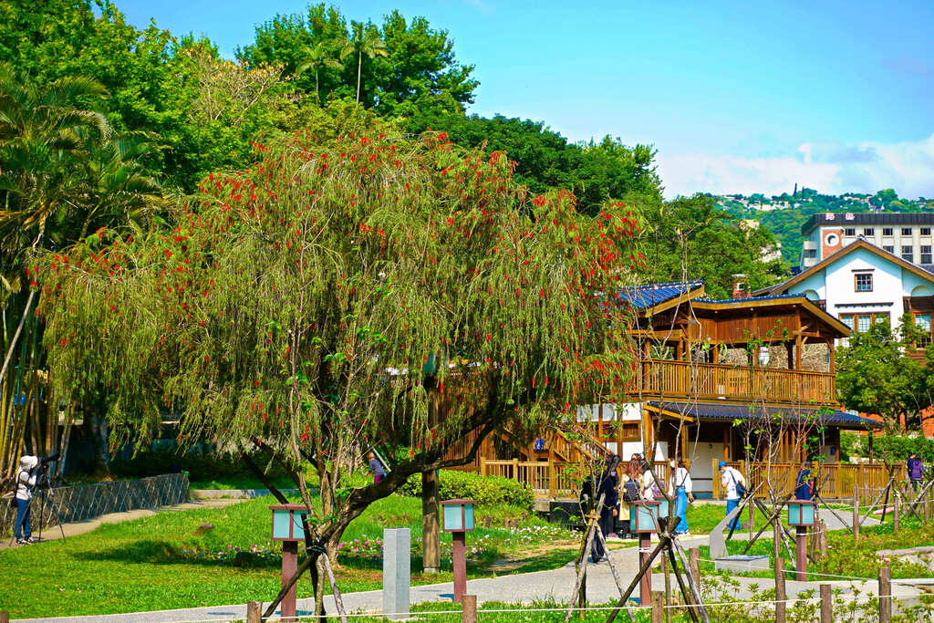 當陽光灑落在步道與木椅上，北投公園讓旅行不需要趕路，也能充滿風景
