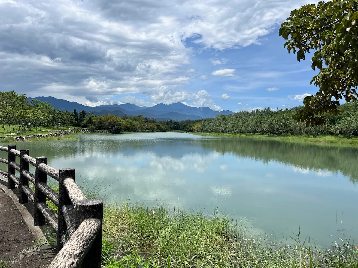 台東森林公園這樣玩最舒服，琵琶湖、活水湖與黑森林單車路線一次整理