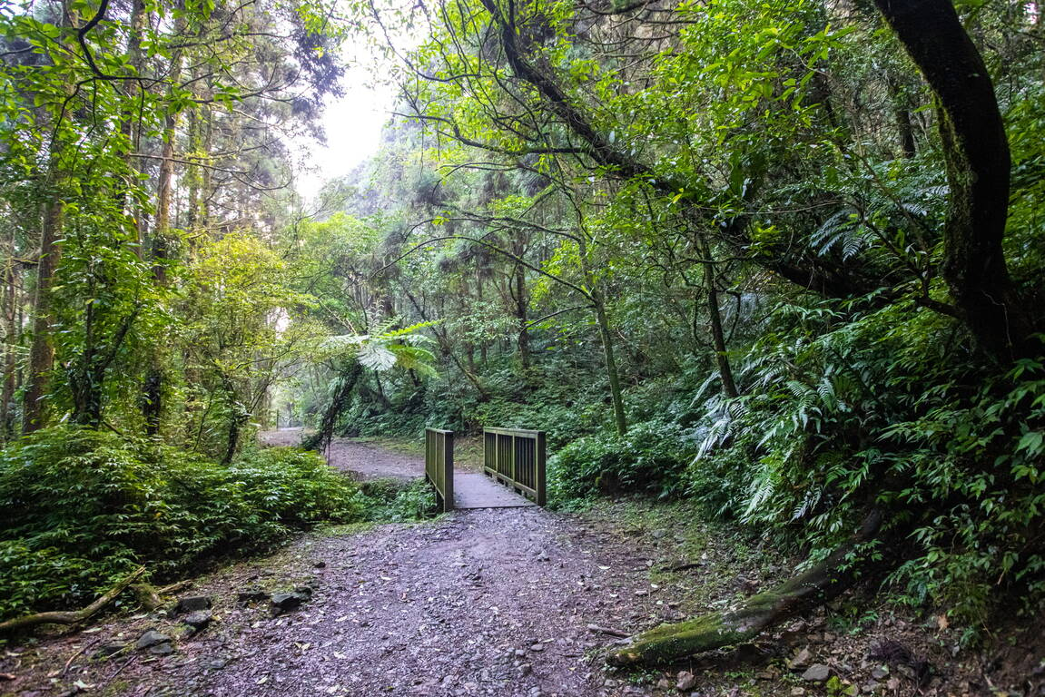 坪溪古道結合了原始森林與溪流步道，打造北台灣最療癒的輕健行路線之一