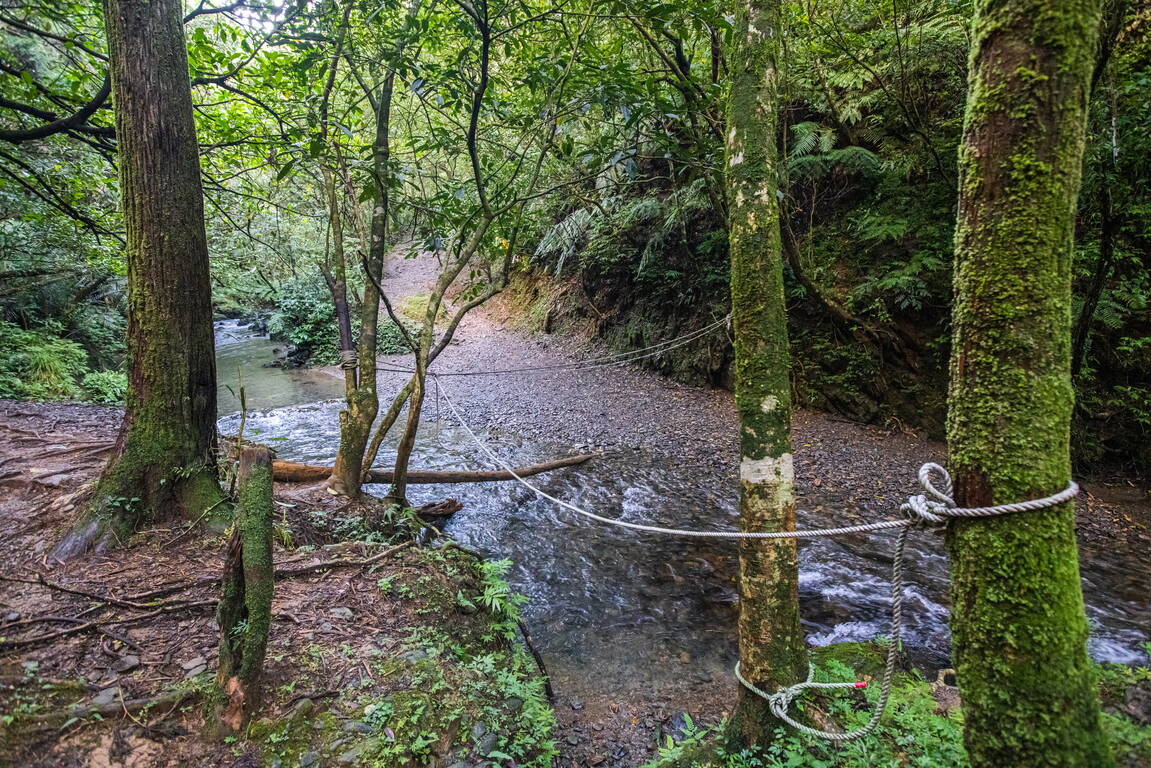 坪溪古道結合了原始森林與溪流步道，打造北台灣最療癒的輕健行路線之一