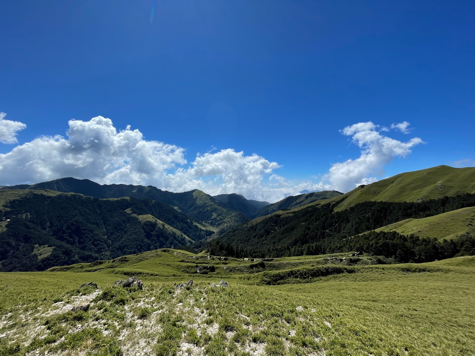 合歡山值得安排，四季景色變化、步道難度與高山旅遊玩法完整攻略