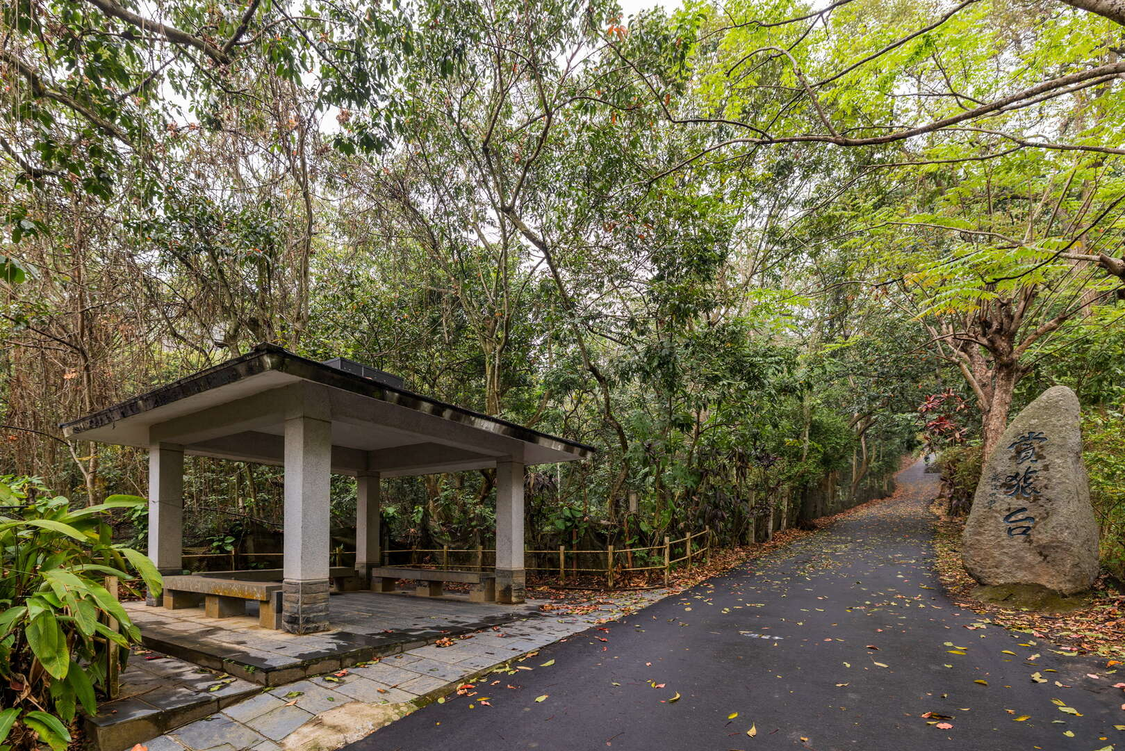 彰化隱藏版的健行路線推薦，登廟步道結合古道故事與自然景觀一次收藏