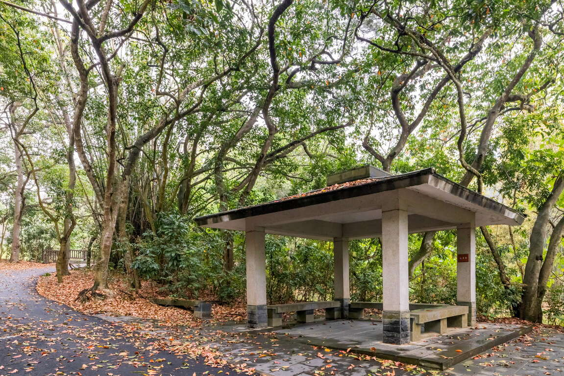 彰化隱藏版的健行路線推薦，登廟步道結合古道故事與自然景觀一次收藏