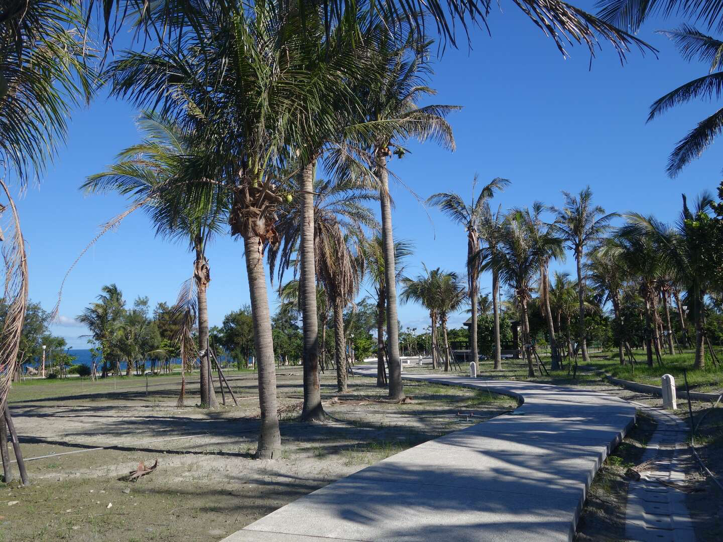 在台東成功的海岸線上停留,走進成功海濱公園,讓每一刻都被浪聲包圍