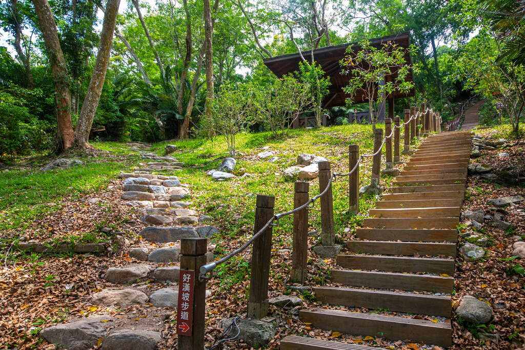 在樹影與光線流動之間行走,知本國家森林遊樂區讓時間變得輕盈而緩慢