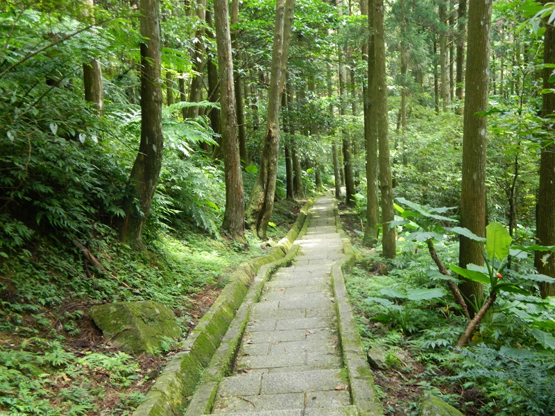 當陽光穿越樹梢灑落林間,滿月圓國家森林遊樂區,讓每一步都變得輕盈