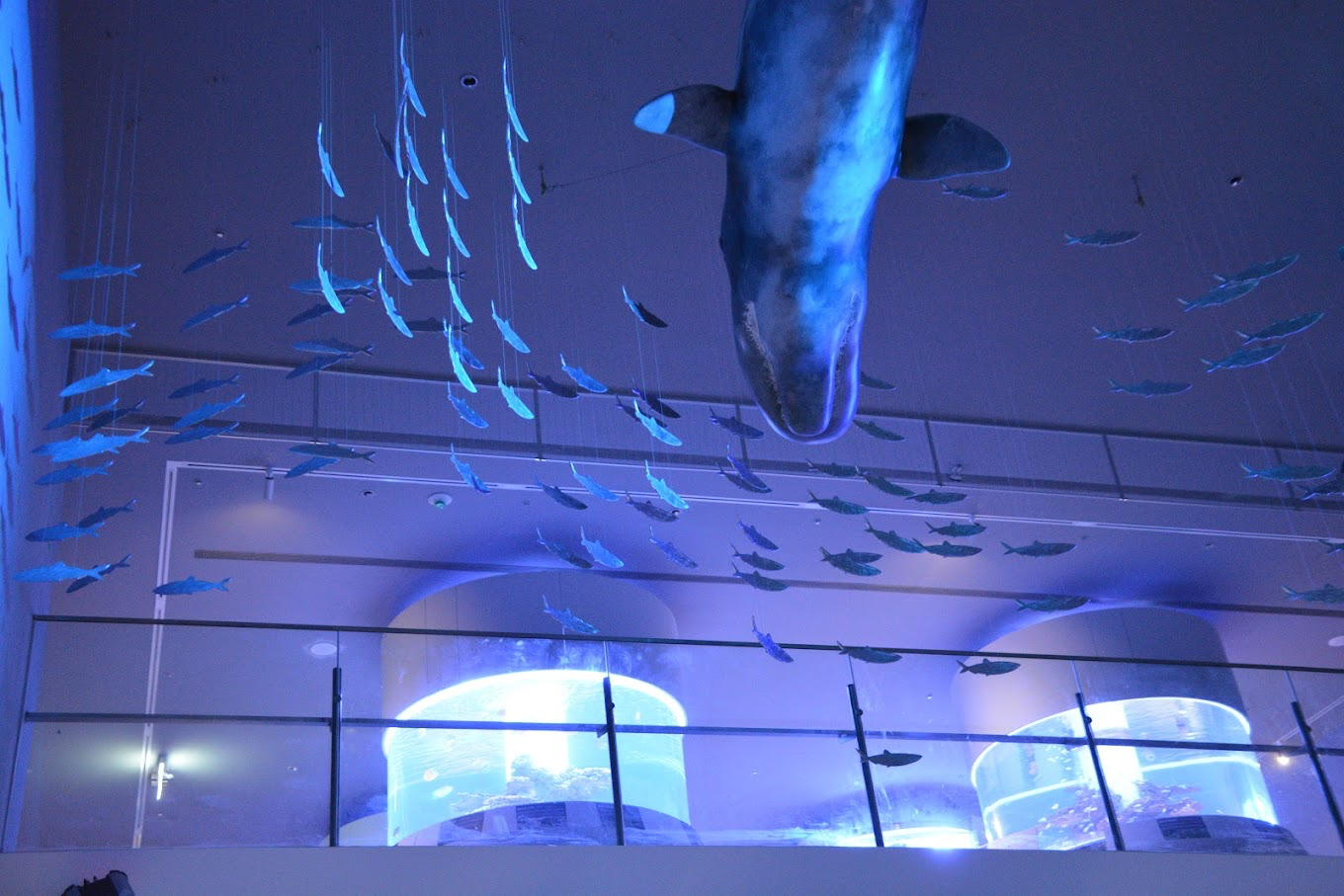 潮境智能海洋館值得去嗎，海洋科技、互動展區與基隆順遊一次整理