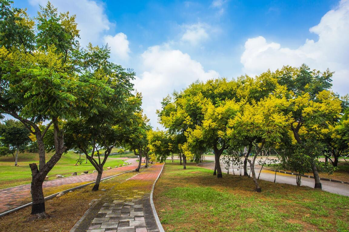 后里環保公園現在值得去嗎，散步景色與拍照亮點一次整理